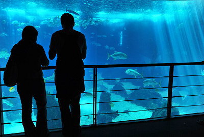 Lisbon Oceanarium, the largest oceanarium in Europe
