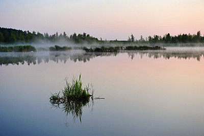 Fotografia paesaggistica - nebbia mattutina, lago