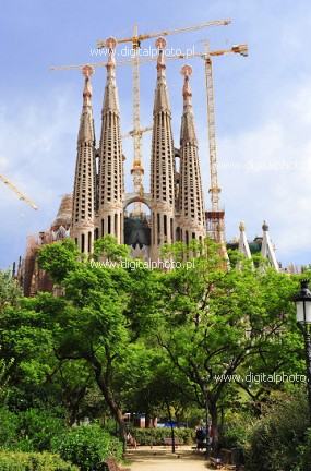 Barcelona Sagrada Familia, kocioy Barcelony