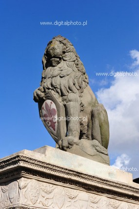 Løve i Firenze - Marzocco - symbol Firenze