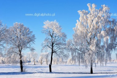 Winterse foto's, sneeuwlandschap