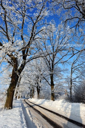 Les routes d'hiver, neige en hiver