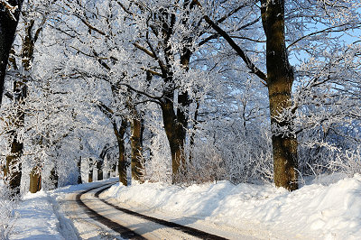 Foto's winter, winterwegen