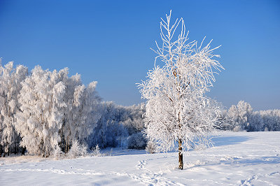Lange winter, winterscene foto