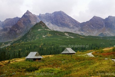Hala Gsienicowa, Dolina Gsienicowa w Tatrach