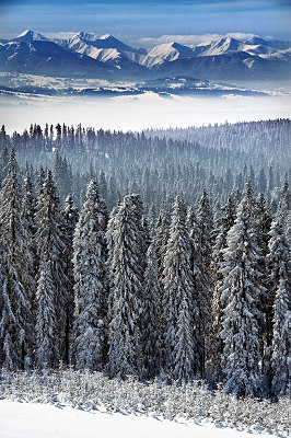 Tatry zim, widok na gry zim