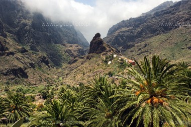Barrancos de Masca Tenerife