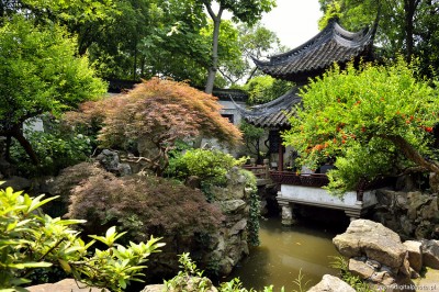 Kinesisk trdgård, Shanghai  fotogalleri