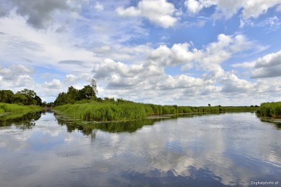 Augustow-kanalen, Biebrza Bildegalleri