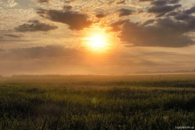 Lever du soleil, Parc national de Biebrza