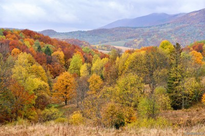 Autumn colors in mountains