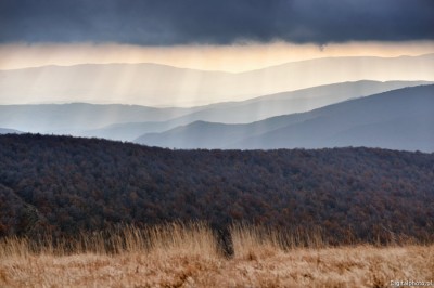 Eastern Carpathians landscapes