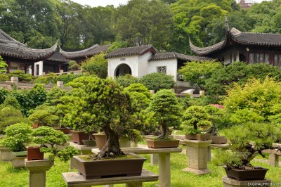 Jardin en Chine, Tiger Hill, Suzhou