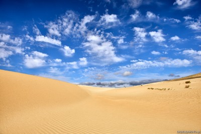 Dune Fuerteventura