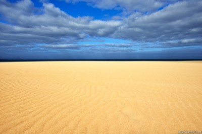 Dunes - Parc naturel de Corralejo