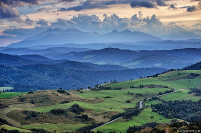 Tatras panorama, Pinines