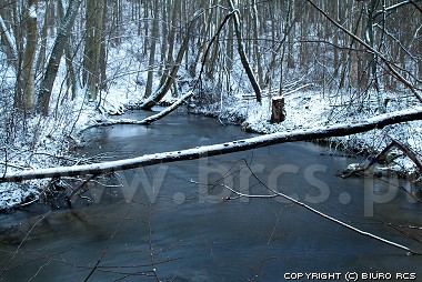 Images de nature, hiver