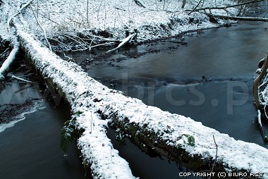 Vinter billeder