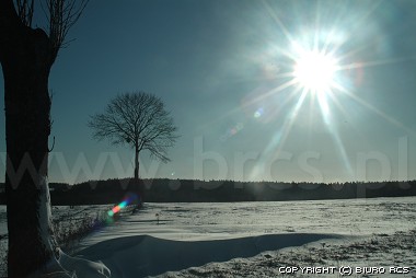Billeder i vinter landskab
