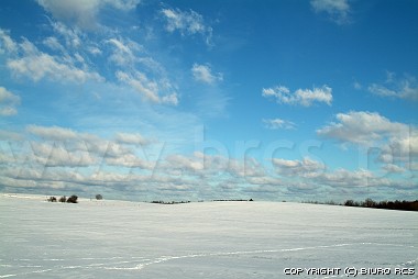 Immagini dei paesaggi di inverno