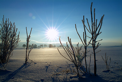 Foto della natura di inverno