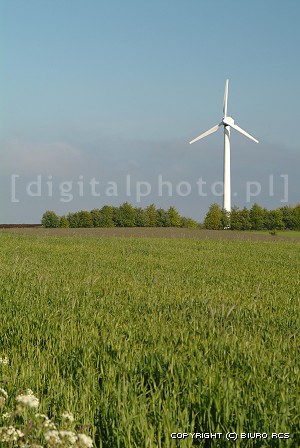 Centrale elettrica del vento