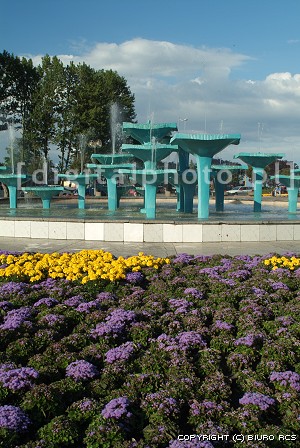 Immagini della fontana