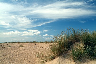 Imagen de la playa